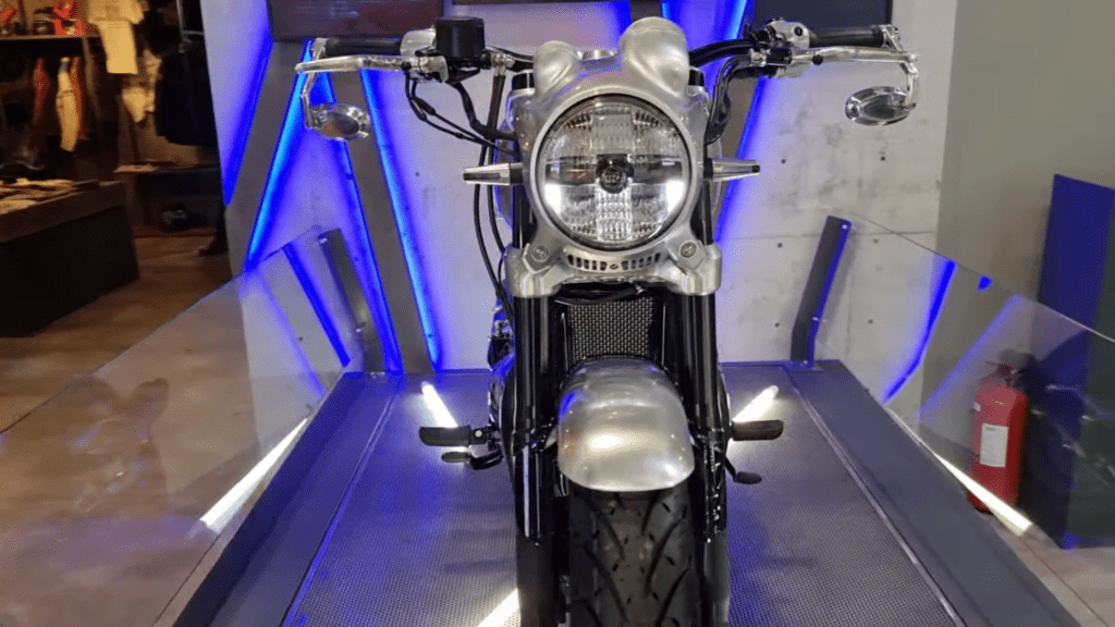 Royal Enfield SG 650 Cruiser Looks Like Terminator On Steroid! 3 Royal Enfield SG 650